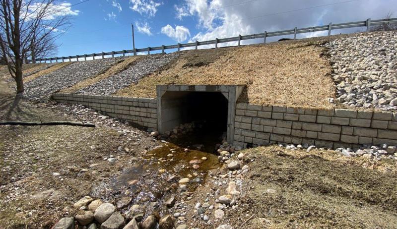 A culvert replacement in the Township of King helped saved a fish habitat. 